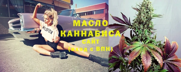 стаф Арсеньев