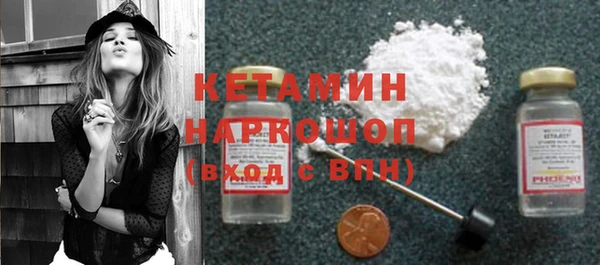 стаф Арсеньев